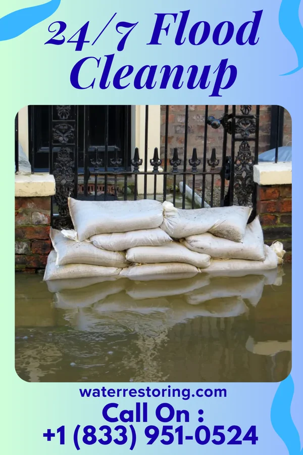 24/7 Flood Cleanup in Punta Rassa, FL