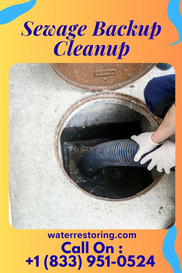 Sewage Backup Cleanup in Punta Rassa, FL